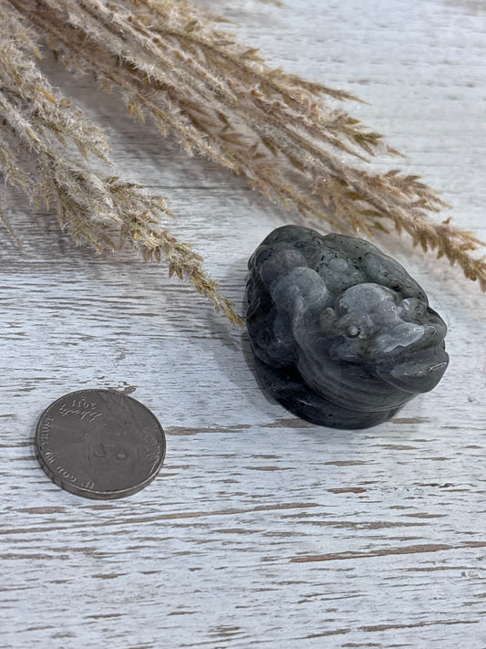 🐸 Labradorite Money Toad