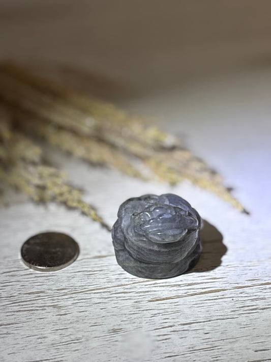 🐸 Labradorite Money Toad